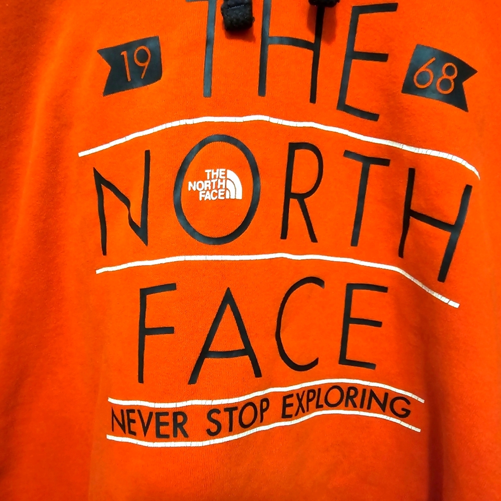 The north face vintage hoodie